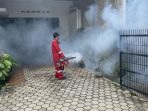 IMG-20240610-WA0017