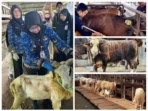 1780070694789944-0